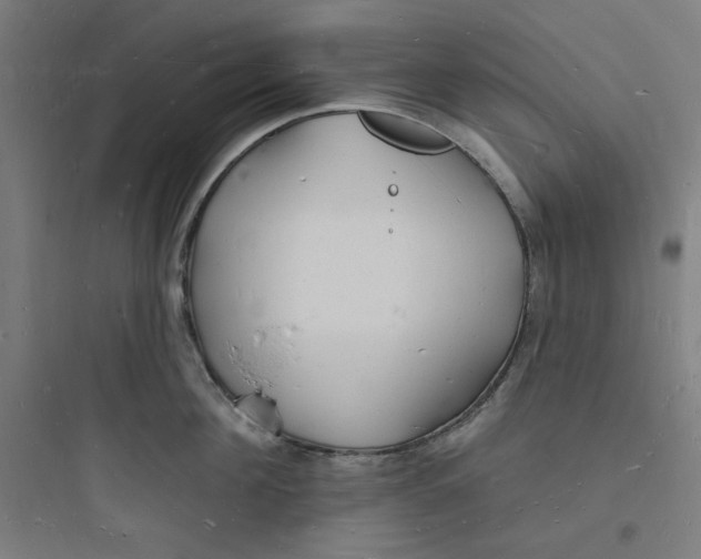 X0000093720908200711060935