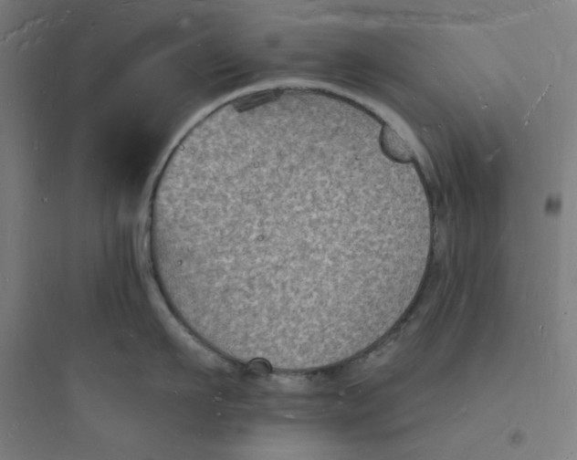 X0000093720911200711060935