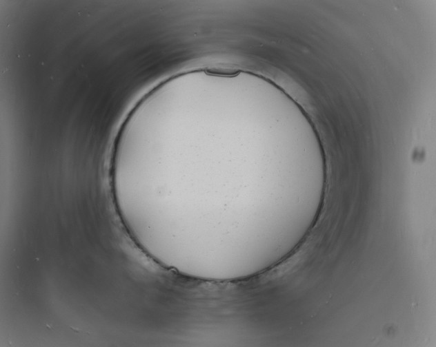 X0000093720912200711060935