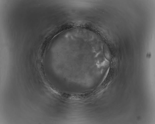 X0000093720913200711060934