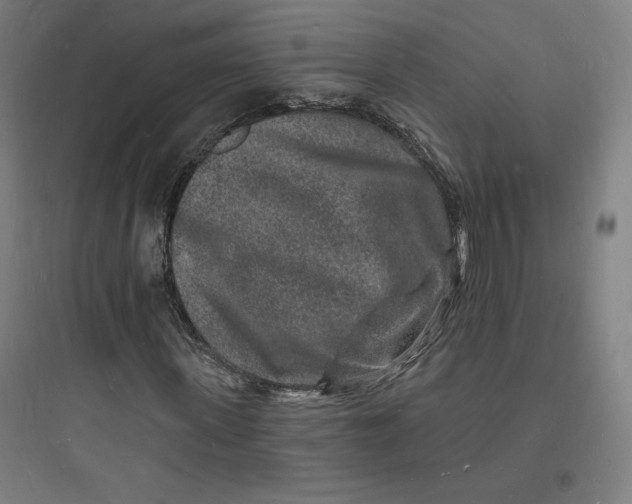 X0000093720915200711060934