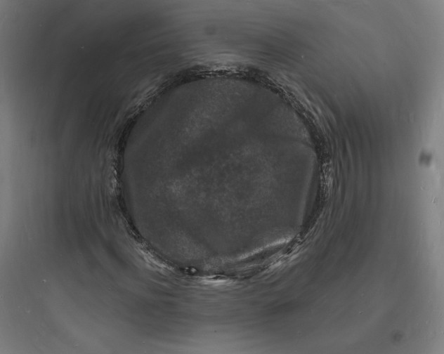 X0000093720916200711060934