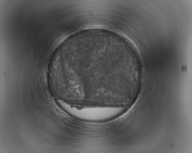 X0000093720921200711060934