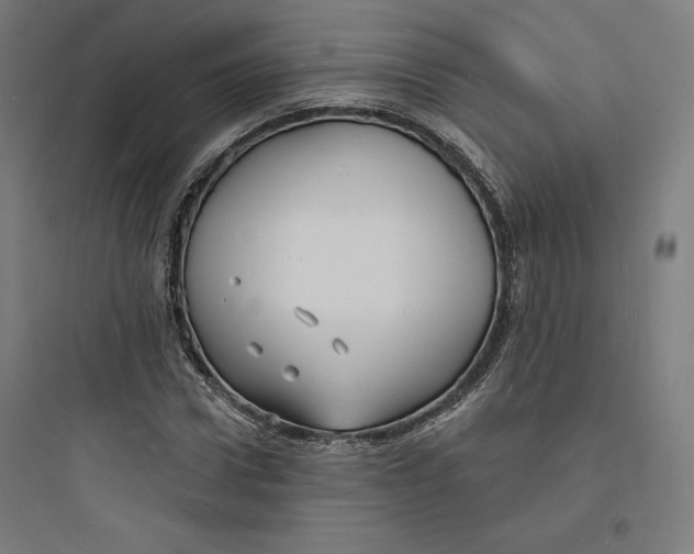 X0000093720922200711060934