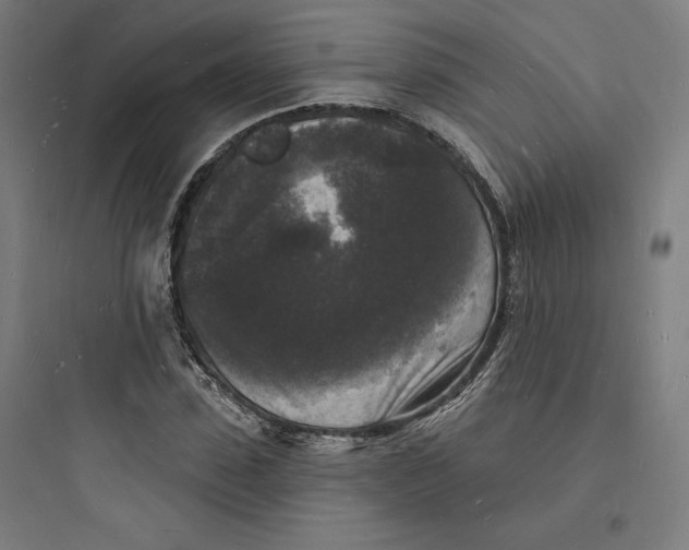 X0000093720923200711060934