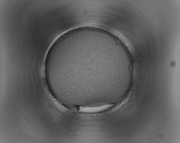 X0000093720924200711060934