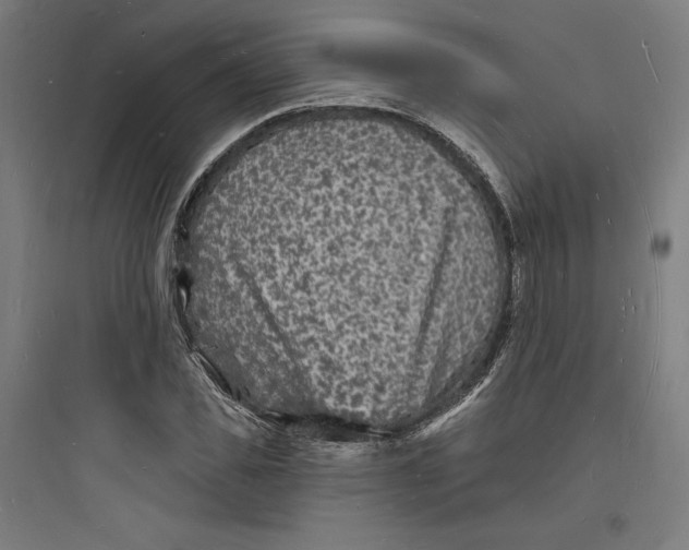 X0000093720925200711060934