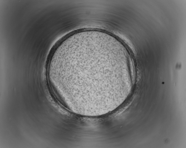 X0000093720928200711060934