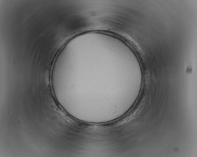 X0000093720929200711060934