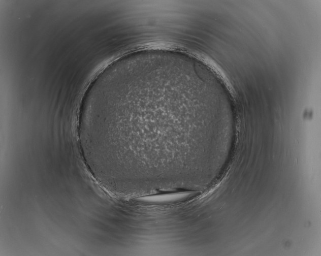 X0000093720930200711060934