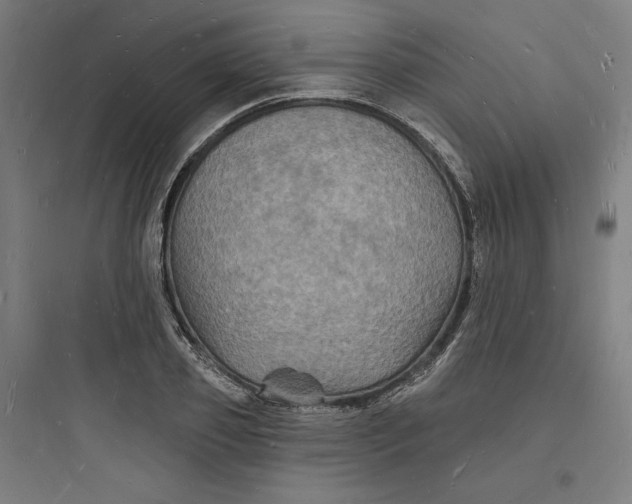 X0000093720933200711060934