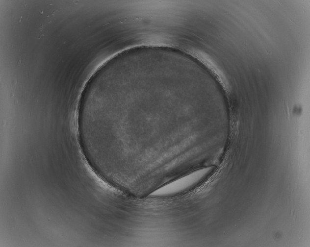 X0000093720935200711060934