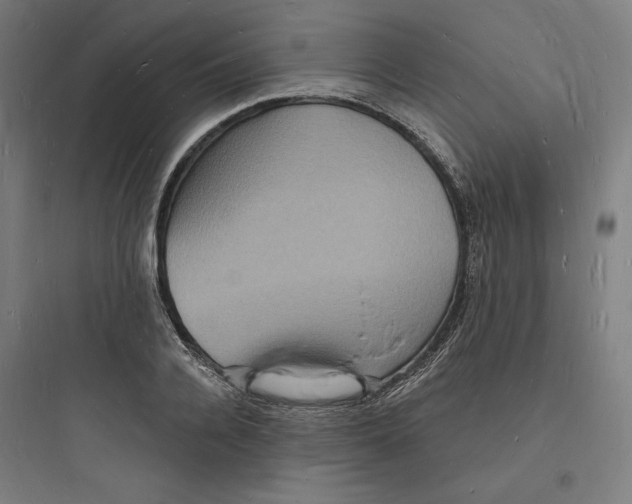 X0000093720936200711060934