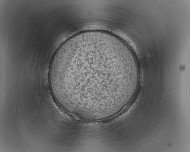 X0000093720937200711060934