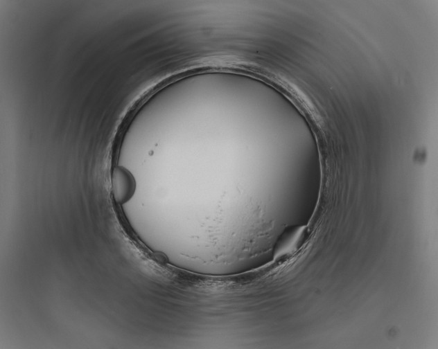 X0000093720939200711060934