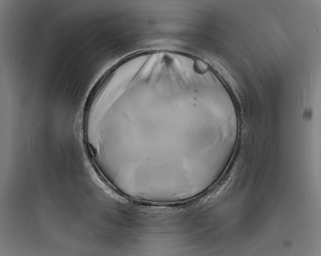 X0000093720941200711060934