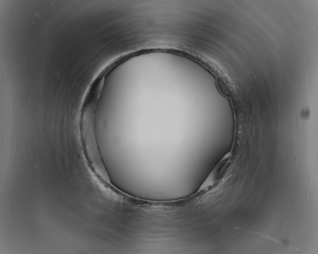 X0000093720942200711060934