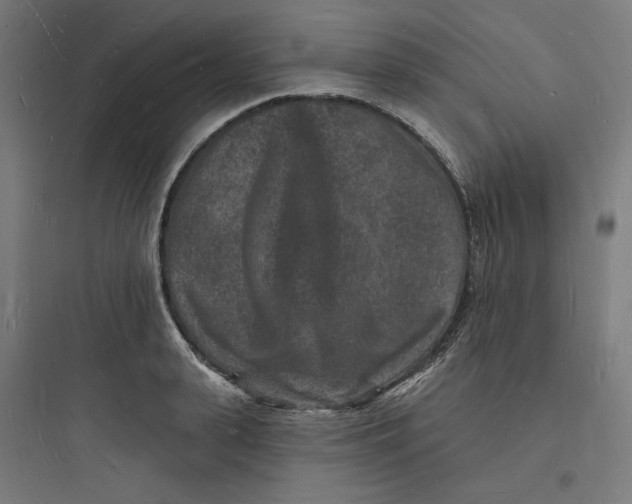 X0000093720943200711060934