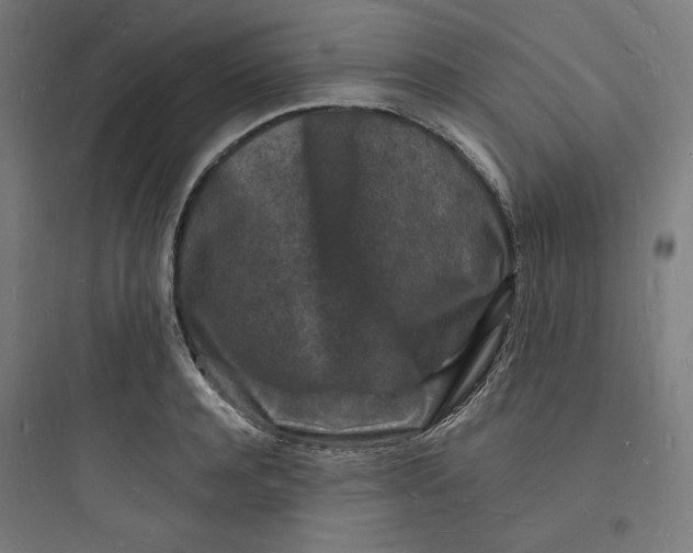 X0000093720944200711060934