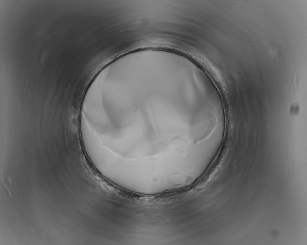 X0000093720945200711060934