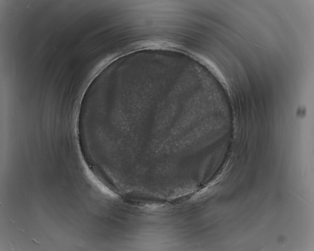 X0000093720946200711060934