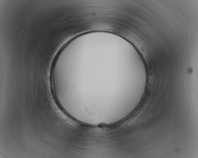 X0000093720947200711060934