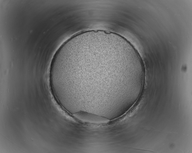 X0000093720949200711060934