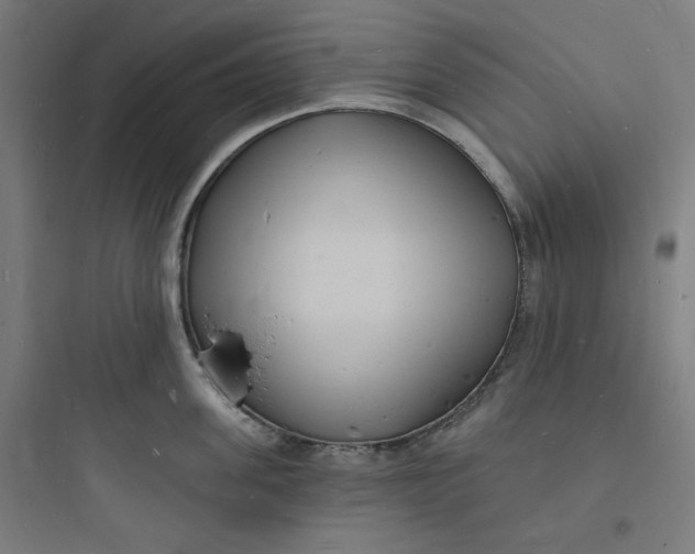 X0000093720955200711060935