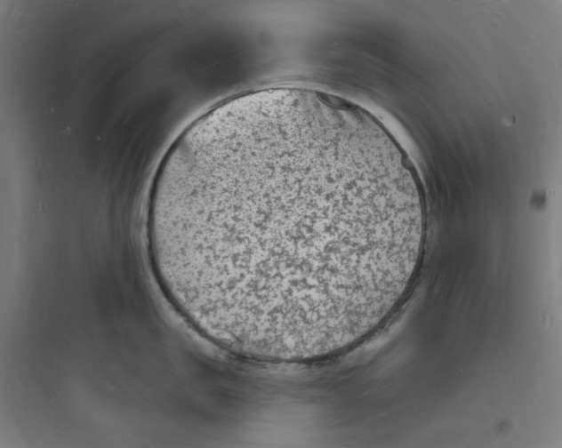 X0000093720957200711060935