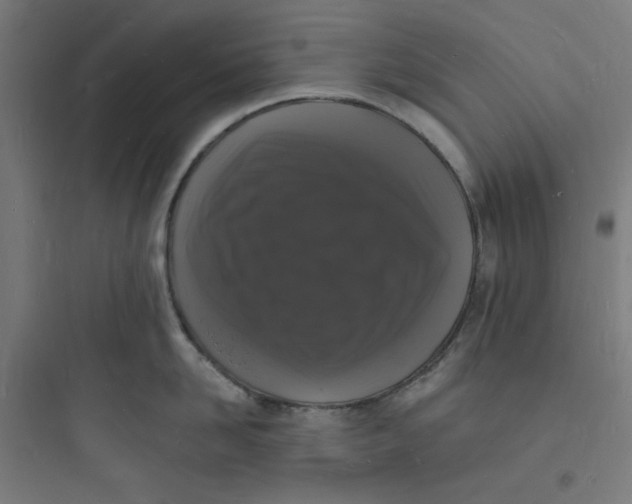 X0000093720958200711060935