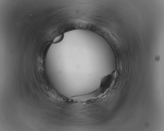 X0000093720964200711060934