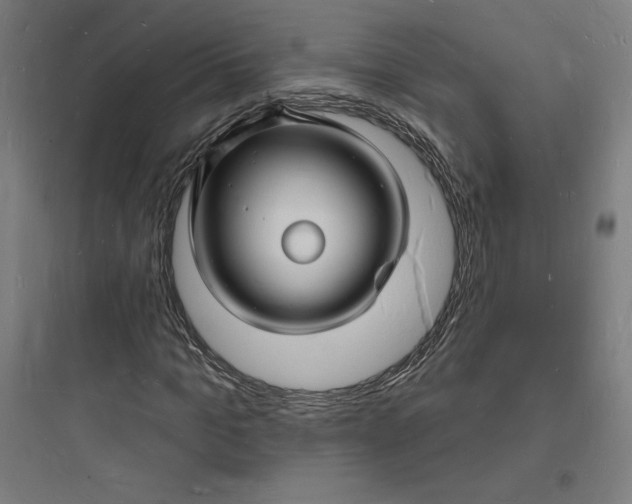 X0000093720965200711060934