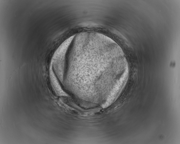 X0000093720966200711060934