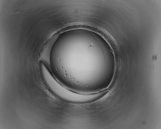 X0000093720969200711060934