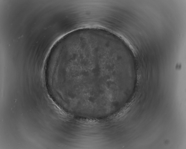 X0000093720975200711060934