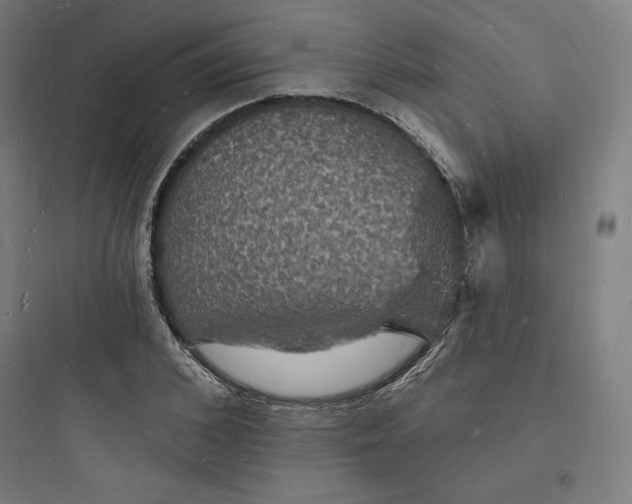 X0000093720976200711060934