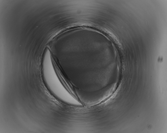 X0000093720977200711060934