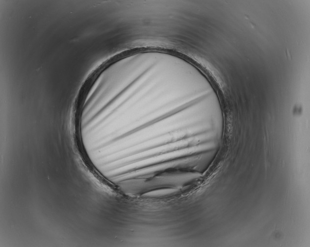 X0000093720983200711060934