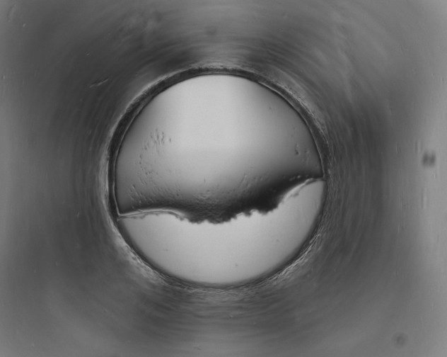 X0000093720984200711060934