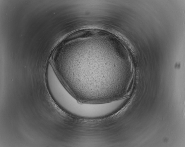 X0000093720985200711060934