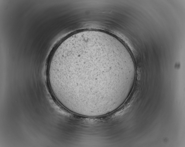 X0000093720987200711060934