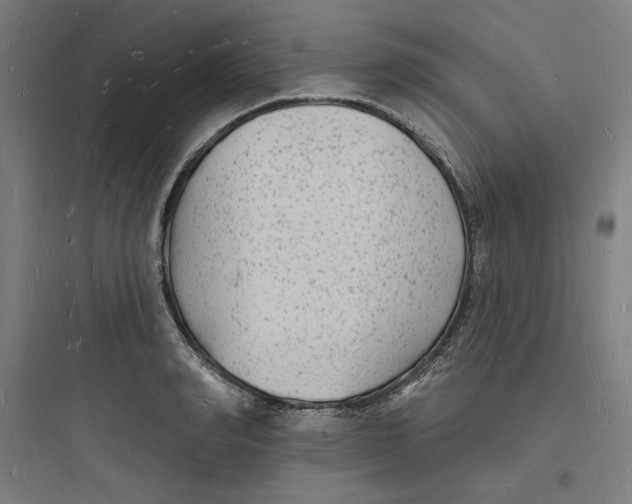 X0000093720990200711060933