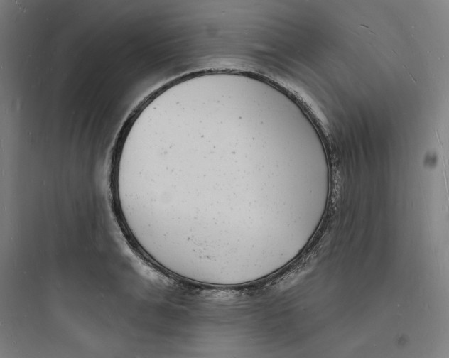 X0000093720991200711060933