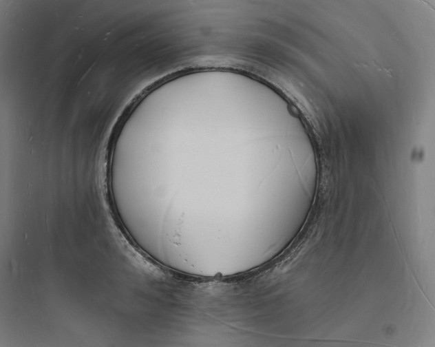 X0000093720992200711060933