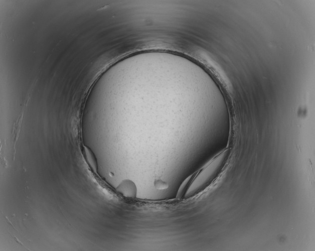 X0000093720993200711060933