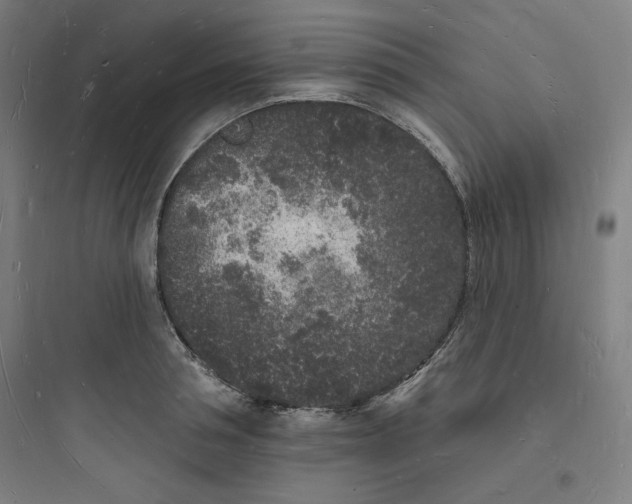 X0000093720994200711060933