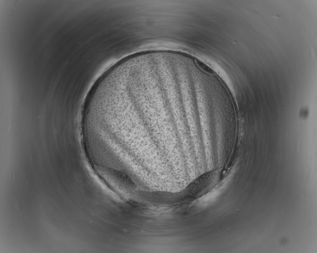 X0000093720997200711060933