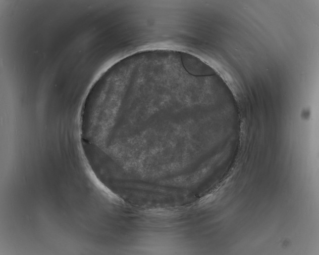 X0000093720998200711060933