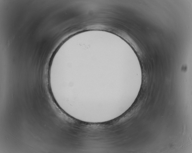 X0000093721000200711060933