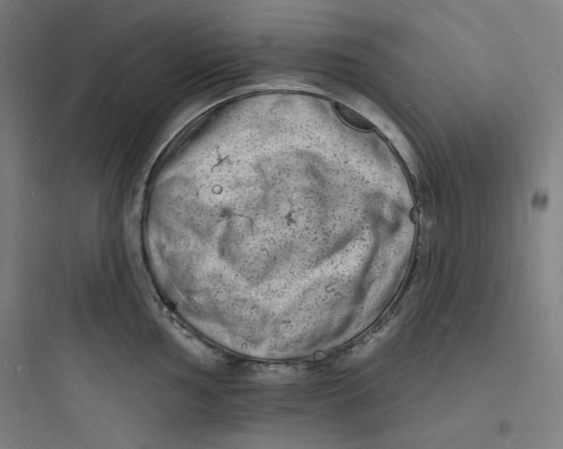 X0000093721002200711060933